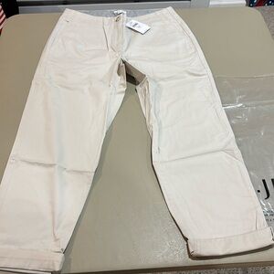 J. Jill Sea Salt Women’s Size 8P Pants NWT